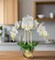 Selina Real Touch White Orchid Arrangement in Gold Ceramic Round Hammered Vase Phalaenopsis Floral